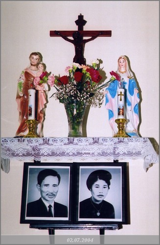 damhoi-35.jpg (52.2 KB)