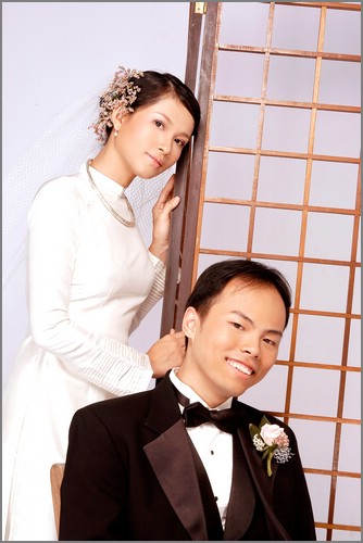 TL-DQ 333.jpg (43.1 KB)